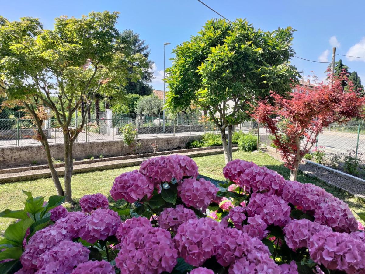 Casa Magnolia Villa Aquileia Bagian luar foto